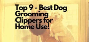 Top 9 Best Dog Grooming Clippers for Home Use