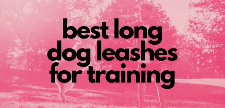 best long dog leashes for training