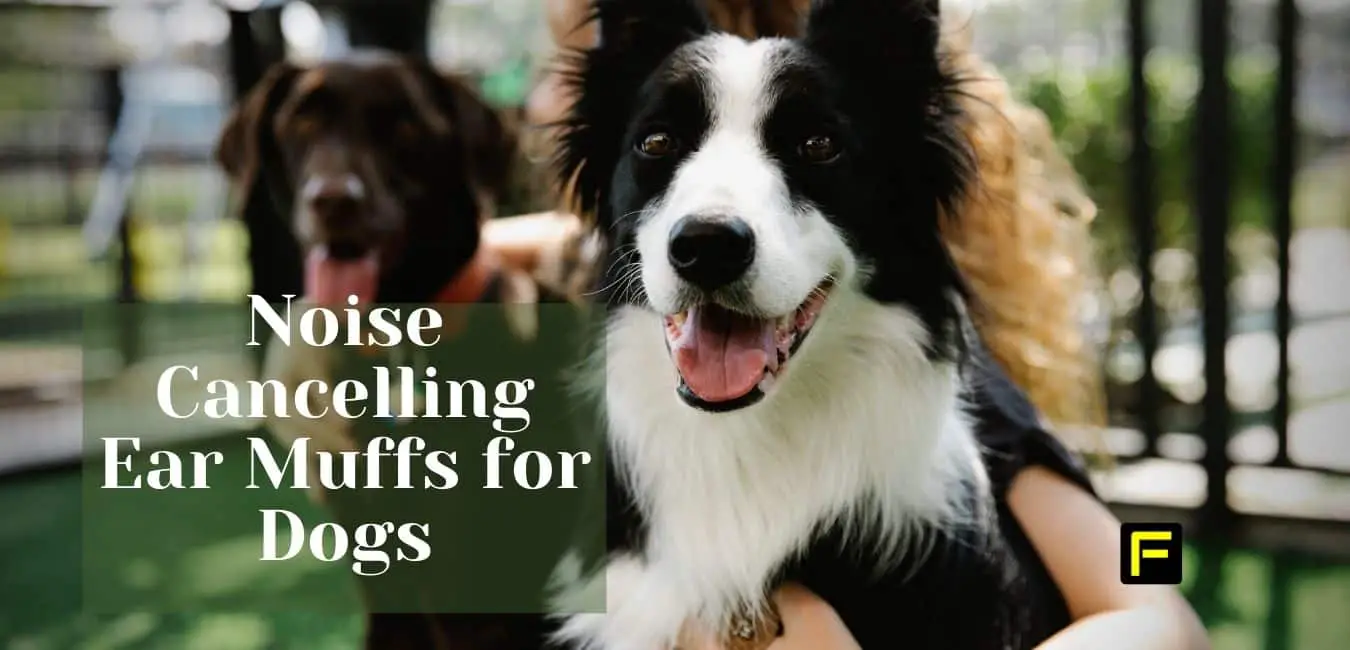 Noise Cancelling Ear Muffs for Dogs - how to calm dog anxiety naturally