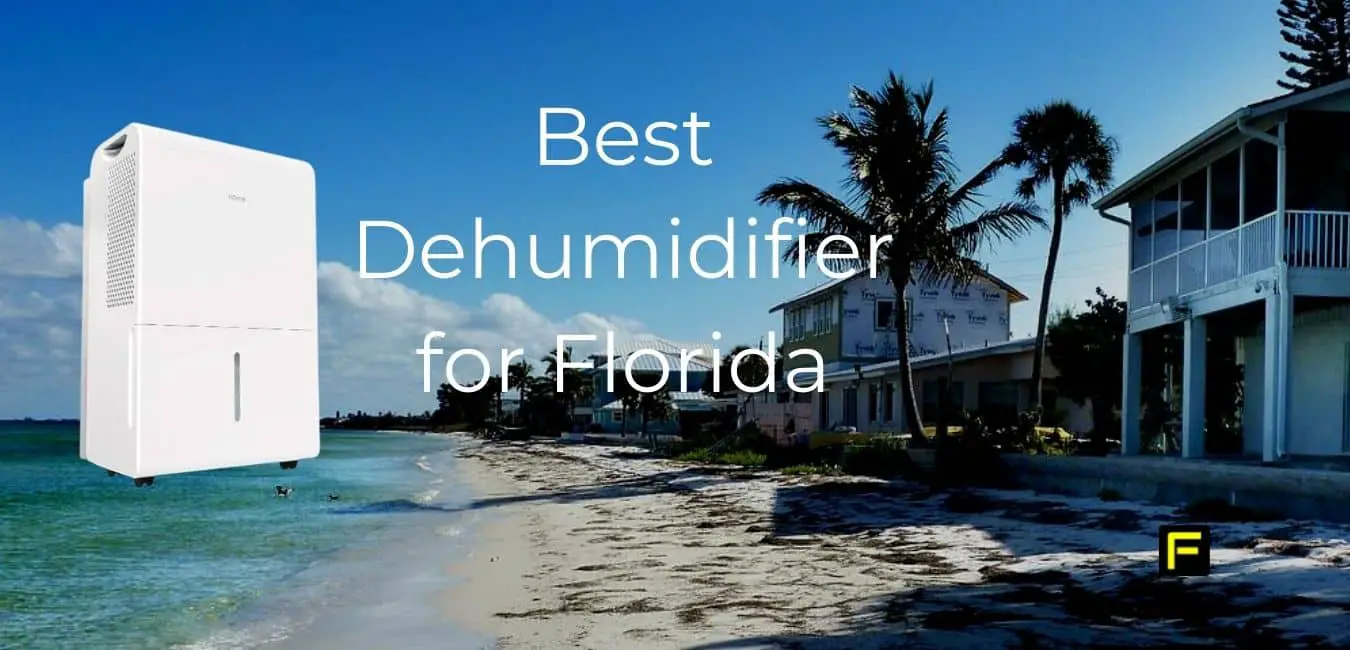 Best Dehumidifier for Florida