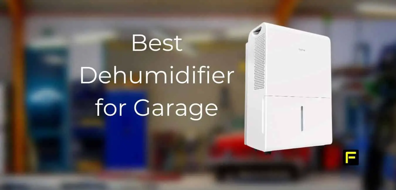 Best Dehumidifier for Garage