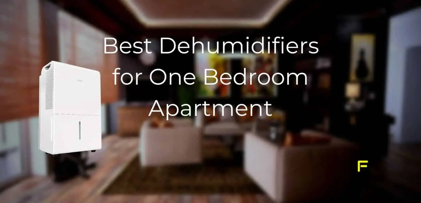 Best Dehumidifiers for One Bedroom Apartment