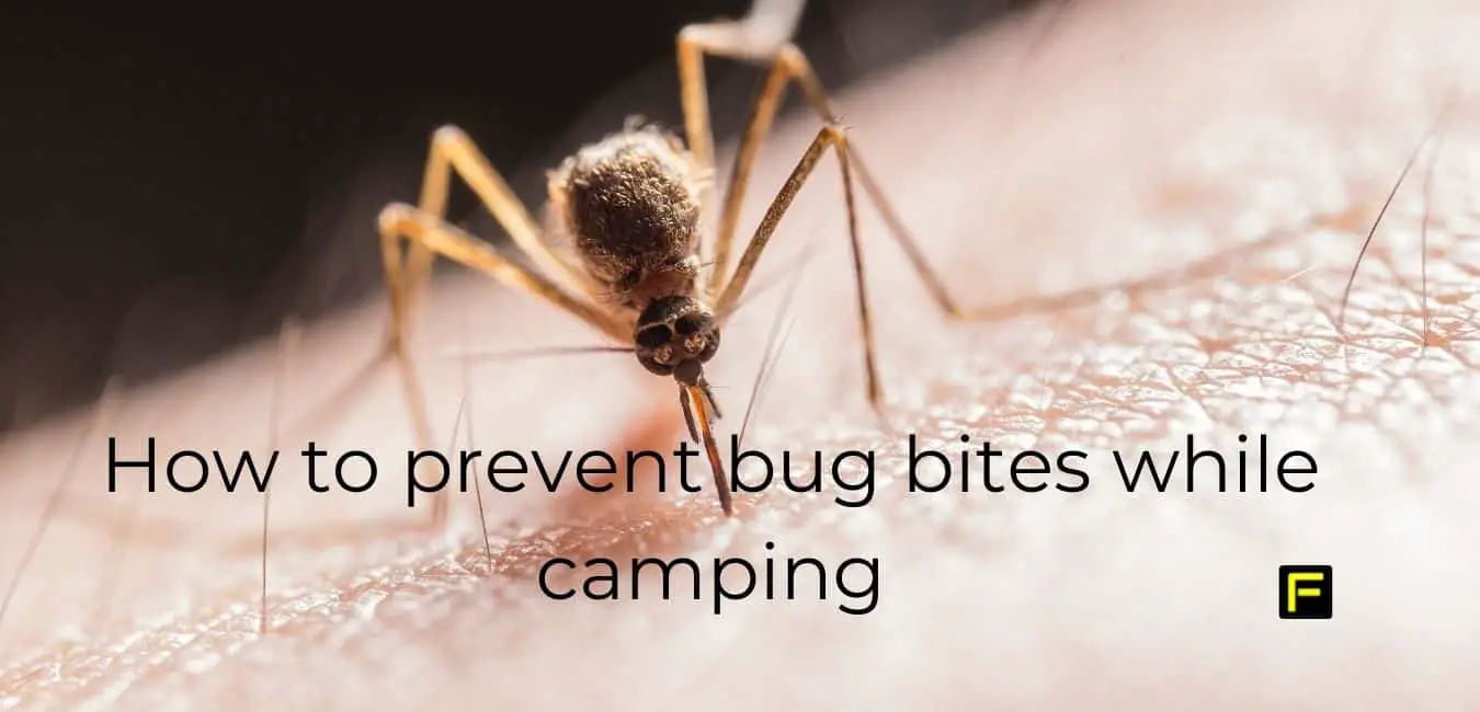 How to prevent bug bites while camping