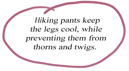 hiking pants protect legs from cuts and scratches