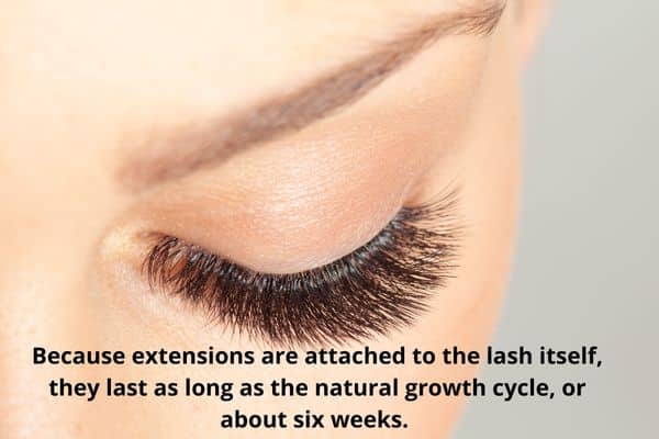 how long do eyelash extensions last