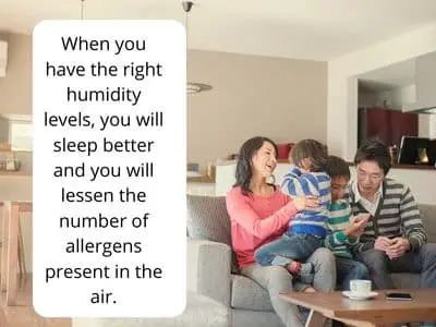 best dehumidifier for allergies