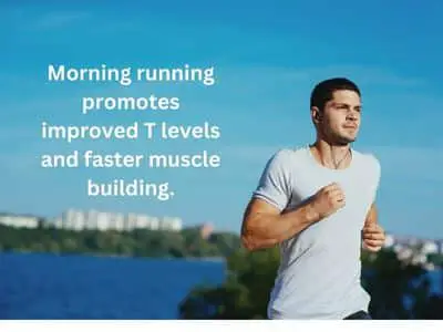 Morning running promotes improved T levels and faster muscle building.