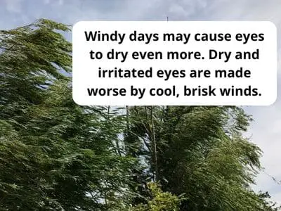 During windy days, eyes may dry even more. Cool, brisk wind irritates eyes that are already prone to dryness - FitFab50
