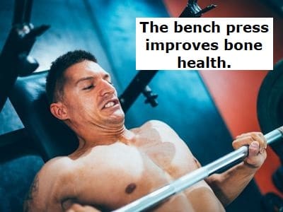 Benefits of the Bench Press