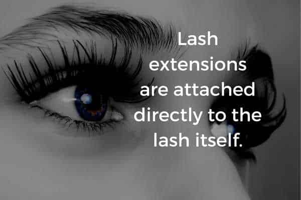 facts about lash extensions