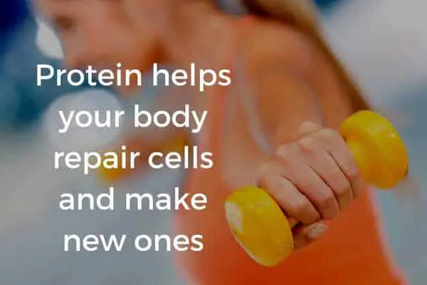 Protein helps your body repair cells and make new ones.