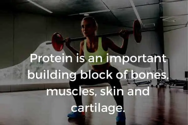 protein is an important building block of bones, muscles, skin and cartilage for women over 50.