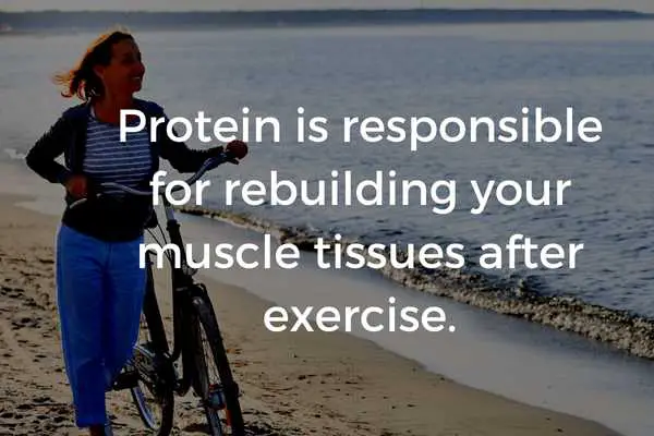 protein is responsible for rebuilding your muscle tissues after exercise.