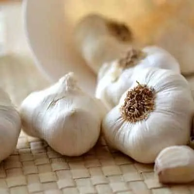 fresh cloves of garlic