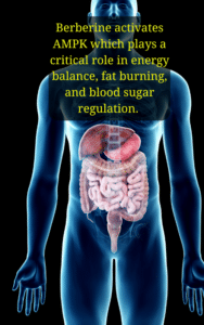 What can I expect after I start a ketogenic diet? 2 Keto Dudes