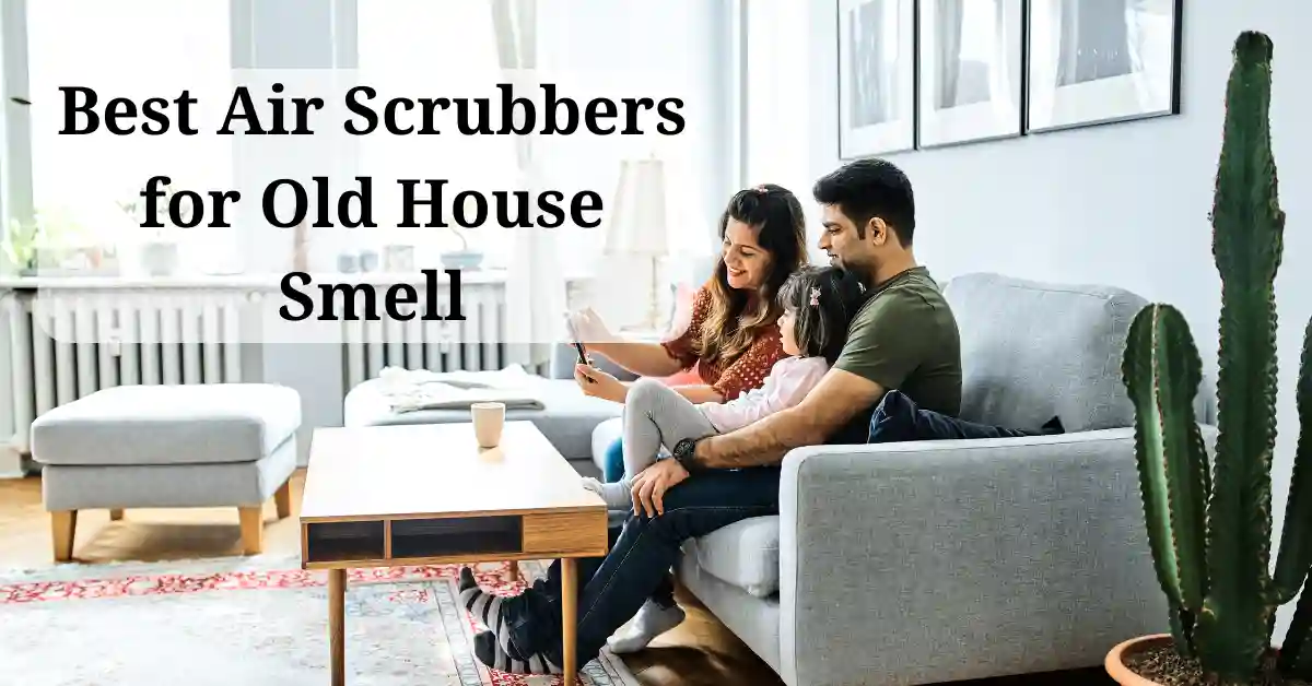 Best Air Scrubbers for Old House Smell. Featured image.