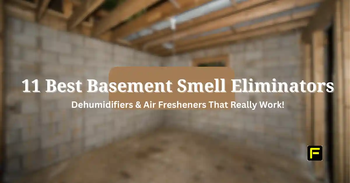 Best Basement Smell Eliminators. Featured image.