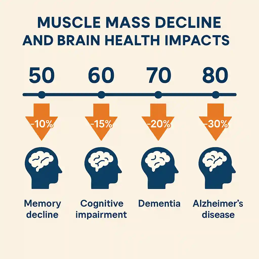 Muscle Loss Dementia: What Adults Over 50 Need to Know 5 Timeline showing muscle loss progression from age 50 to 80 and increasing dementia risk.